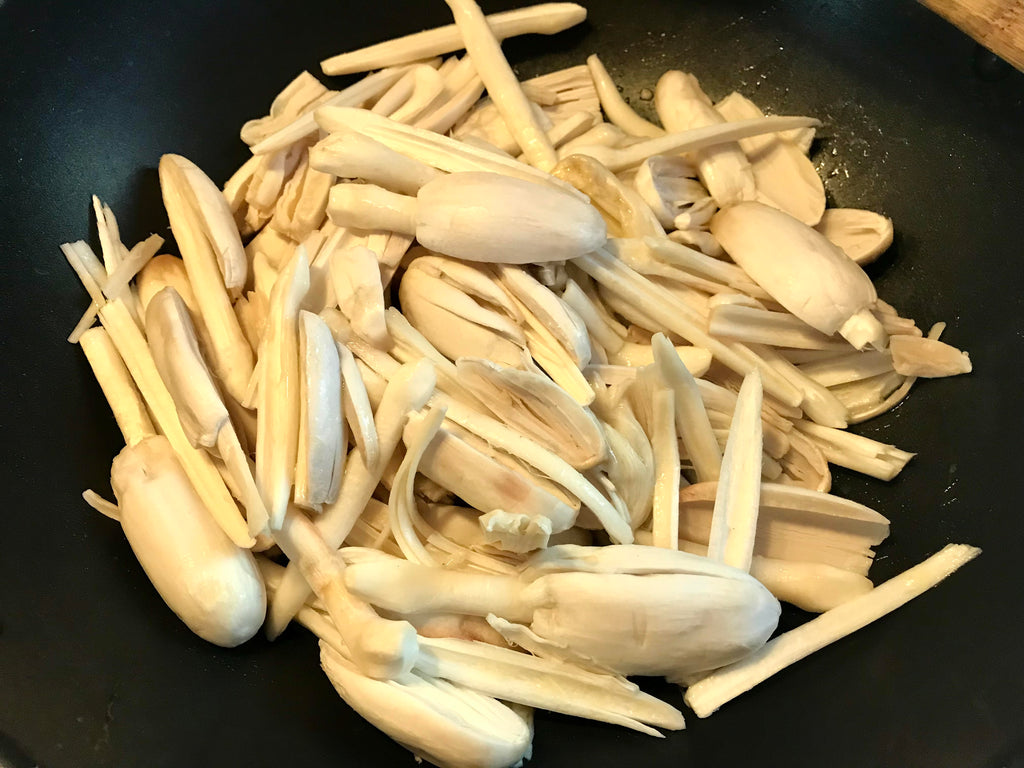 🍄 Guide de cueillette – Coprin chevelu (PDF gratuit)