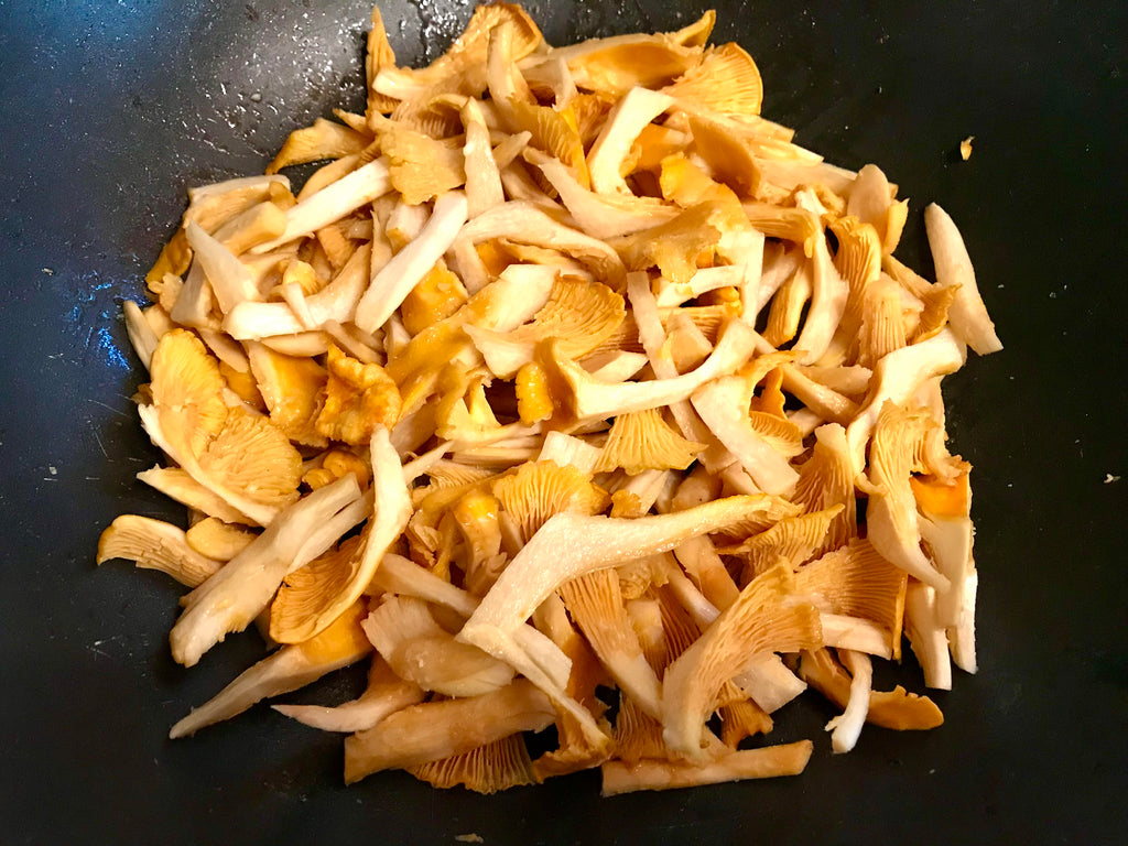 Guide de cueillette — Chanterelle commune (PDF gratuit)