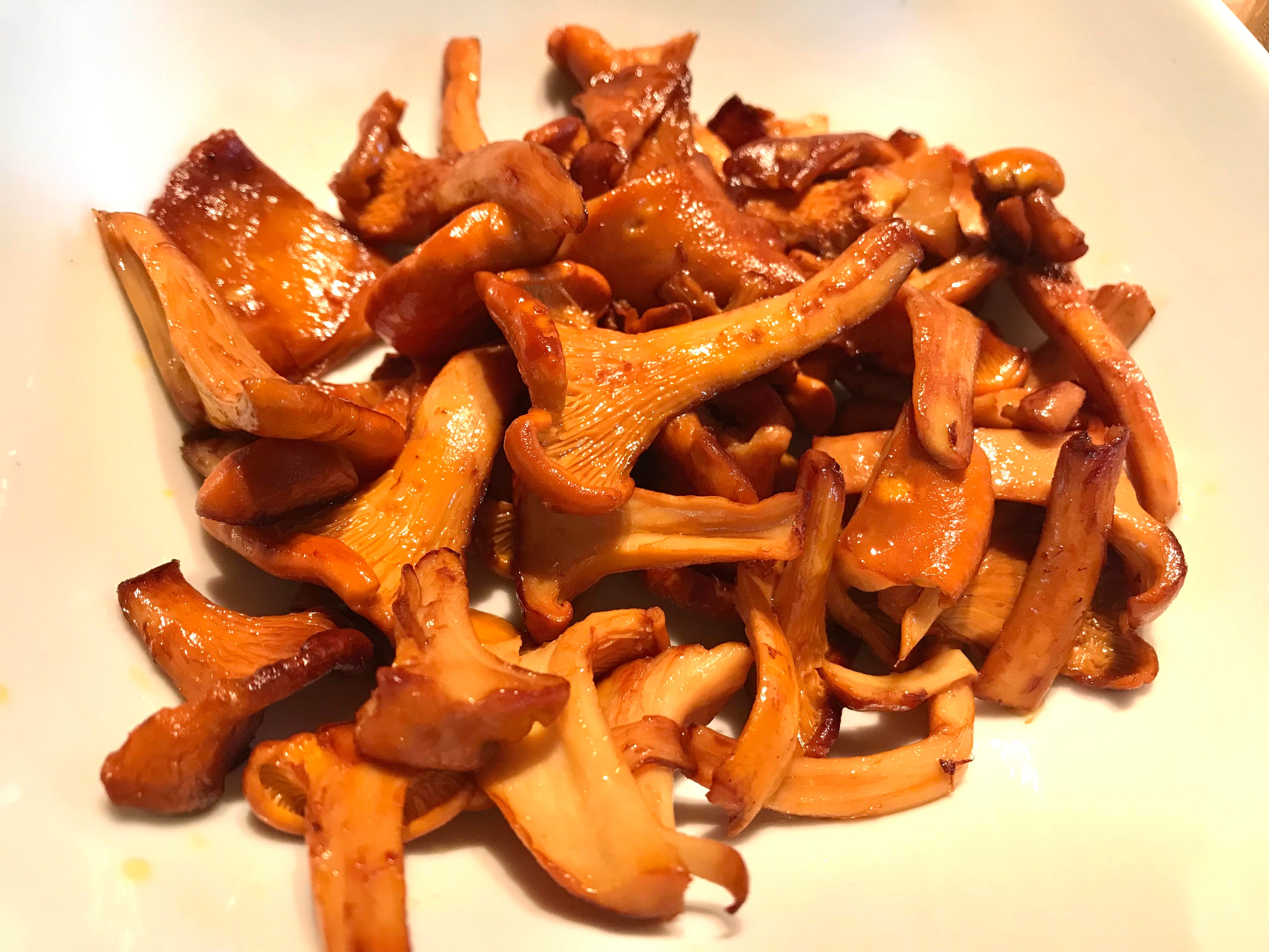 Guide de cueillette — Chanterelle commune (PDF gratuit)