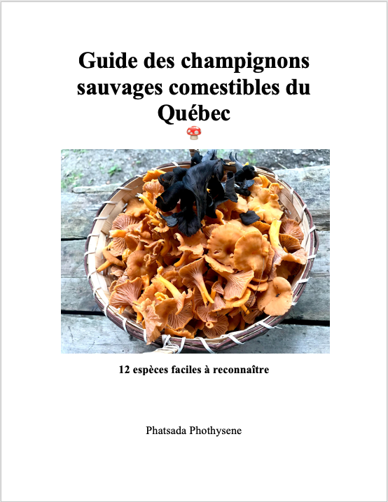 Guide des champignons sauvages comestibles du Québec